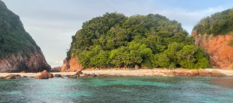 Tuba Mangrove Boat Tour in Langkawi